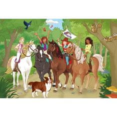 VERVELEY Krabica puzzle, SCHMIDT SPIELE, Horse Club, 2x60, 2x100 dielikov