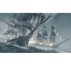 Ubisoft Playstation HITS na PS4 Assassin's Creed 4 Black Flag