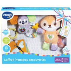 VERVELEY VTECH BABY, Pôrodný box, Prvé objavy