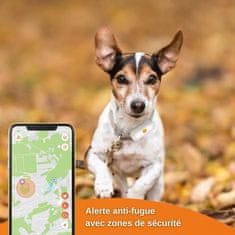 Weenect WEENECT Dogs 2, GPS obojok, Pre psy