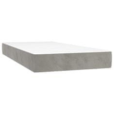 Petromila vidaXL Boxspring posteľ s matracom bledosivá 120x190 cm zamat