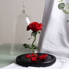 Korbi Červená večná ruža v tieni, LED