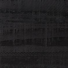 Petromila vidaXL Nočné stolíky 2 ks čierne 36x30x45 cm borovicový masív