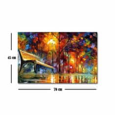 Wallity Reprodukcia obrazu Leonid Afremov 082 45 x 70 cm