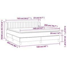 Petromila vidaXL Boxspring posteľ s matracom svetlosivá 100x200 cm látka