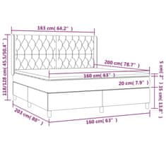 Petromila vidaXL Boxspring posteľ s matracom svetlosivá 100x200 cm látka