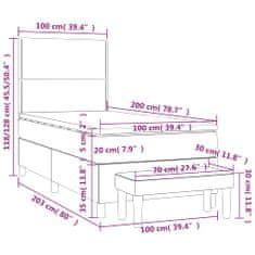 Petromila vidaXL Boxspring posteľ s matracom bledosivý 100x200 cm látka