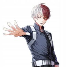 Korbi Paruka Shoto Todoroki, Anime, My Hero Academia W52