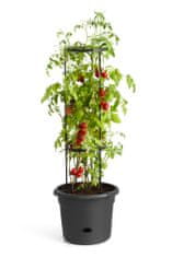Elho obal Green Basics Tomato Pot - living black 33 cm