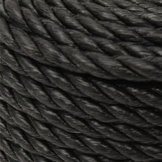 Vidaxl Pracovné lano čierne 20 mm 25 m polypropylén