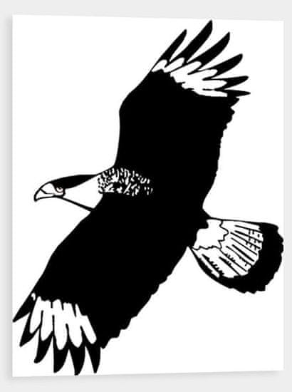 Traiva Silueta dravca, proti narážaniu vtákov do skla - čiernobiela Samolepka inverzní 210 x 297 mm (A4) tl. 0.1 mm - Kód: 03093