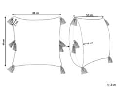 Beliani Bavlnený vankúš geometrický vzor so strapcami 45 x 45 cm svetlobéžová AVIUM
