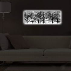 Wallity Obraz s LED osvetlením VETVY STROMOV 72 30 x 90 cm