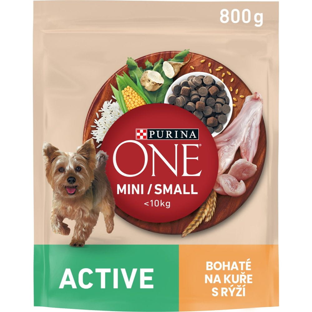 Purina ONE ACTIVE dog kura 8×800 g