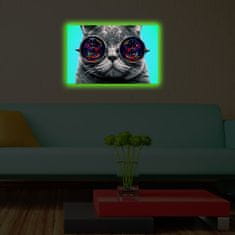 Wallity Obraz s LED osvetlením MAČKA V OKULIAROCH 61 45 x 70 cm