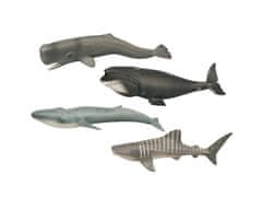 Mikro Trading Zoolandia morské zvieratá 22,5-28 cm