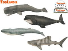 Mikro Trading Zoolandia morské zvieratá 22,5-28 cm