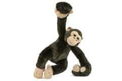 Lamps Plyšový šimpanz 23 cm