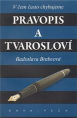 Radoslava Brabcová: Pravopis a tvarosloví. - V čem často chybujeme