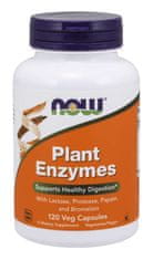 NOW Foods Plant Enzymes, rastlinné enzýmy, 120 rastlinných kapsúl