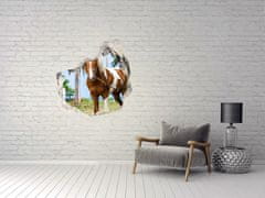 Wallmuralia.sk Nálepka fototapeta 3D výhľad Pinto kôň 100x100 cm