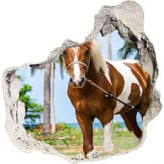 Wallmuralia.sk Nálepka fototapeta 3D výhľad Pinto kôň 100x100 cm