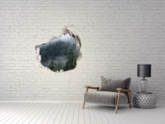 Wallmuralia.sk Diera 3D v stene na stenu Les hmla 125x125 cm