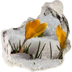 Wallmuralia.sk Diera 3D fototapety nástenná Crocus v snehu 125x125 cm