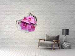 Wallmuralia.sk Diera 3D fototapety na stenu Orchidea na dreve 100x100 cm