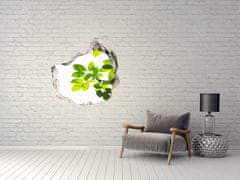 Wallmuralia.sk Diera 3D fototapety na stenu Listy 125x125 cm