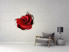 Wallmuralia.sk Diera 3D fototapety nálepka Kvapky na ruže 75x75 cm