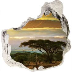 Wallmuralia.sk Diera 3D v stene na stenu Kilimanjaro keňa 100x100 cm