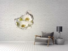 Wallmuralia.sk Diera 3D fototapety nálepka Biela orchidea 100x100 cm