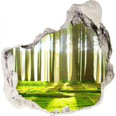 Wallmuralia.sk Diera 3D fototapety nálepka Forest na slnku 75x75 cm