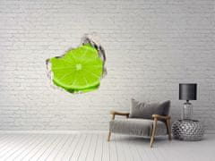 Wallmuralia.sk Diera 3D fototapety na stenu Limes 75x75 cm