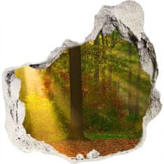 Wallmuralia.sk Diera 3D fototapety nálepka Forest na slnku 75x75 cm