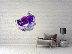 Wallmuralia.sk Diera 3D fototapety nálepka Fialové sirôtky 125x125 cm