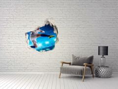 Wallmuralia.sk Diera 3D fototapety Futbalista 125x125 cm