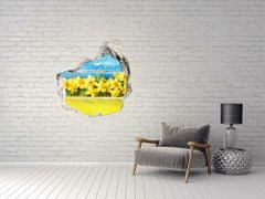 Wallmuralia.sk Diera 3D fototapety Narcisy 100x100 cm