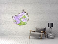Wallmuralia.sk Diera 3D fototapety na stenu Verbena 100x100 cm