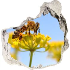 Wallmuralia.sk Diera 3D fototapety nálepka Včela na kvete 75x75 cm