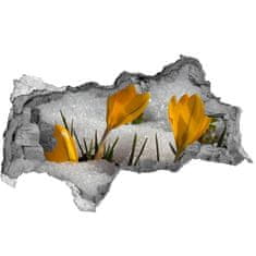 Wallmuralia.sk Samolepiaca nálepka fototapeta Crocus v snehu 150x115 cm