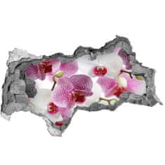 Wallmuralia.sk Fototapeta nálepka na stenu Nástenné maľby orchidea 95x73 cm