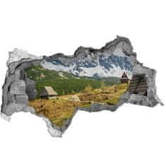 Wallmuralia.sk Diera 3D v stene na stenu Hale tatry 115x88 cm