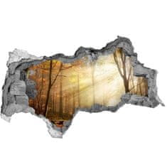 Wallmuralia.sk Diera 3D v stene na stenu Hmla v lese 115x88 cm