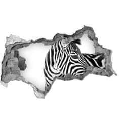 Wallmuralia.sk Diera 3D fototapeta nálepka Zebra v snehu 115x88 cm