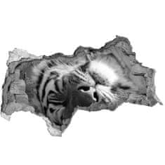 Wallmuralia.sk Diera 3D fototapeta nálepka Spiace tiger 115x88 cm