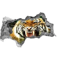 Wallmuralia.sk Diera 3D fototapeta nálepka Revúci tiger 115x88 cm