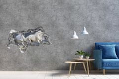 Wallmuralia.sk Diera 3D fototapeta na stenu White horse beach 95x73 cm