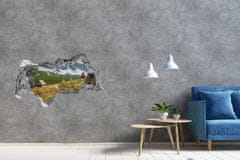 Wallmuralia.sk Diera 3D v stene na stenu Hale tatry 115x88 cm